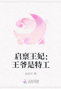 启禀王妃：王爷是特工