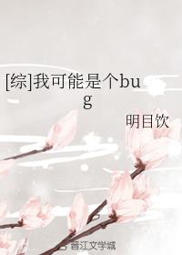 [综]我可能是个bug