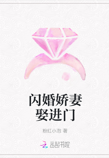 闪婚娇妻娶进门