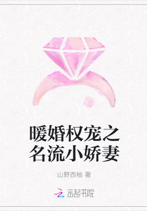 暖婚权宠之名流小娇妻