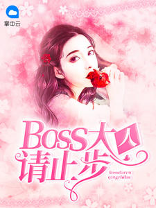 boss大人请止步