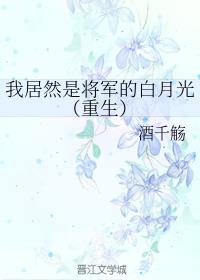 我才是将军的白月光（重生）