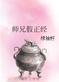 师兄假正经