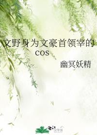 文野身为文豪首领宰的cos