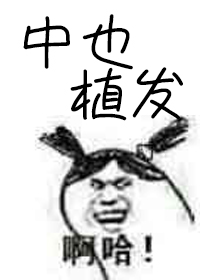 [综]嫁给中也后给他植发