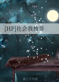 [HP]社会我拽哥