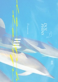 《DOLPHINS》