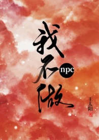 我不做npc