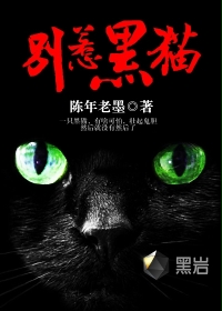 别惹黑猫