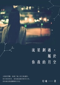 流星划过，属於你我的那片月空