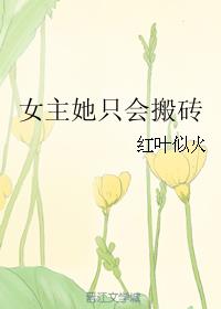 女主她只会搬砖