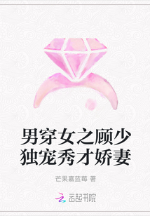 男穿女之顾少独宠秀才娇妻