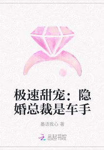 极速甜宠：隐婚总裁是车手