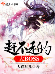 赶不走的大BOSS