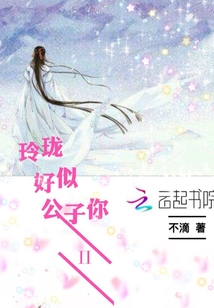 玲珑好似公子你II