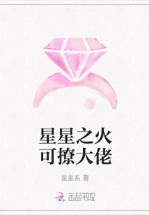 星星之火可撩大佬