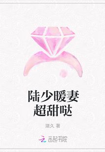 陆少暖妻超甜哒