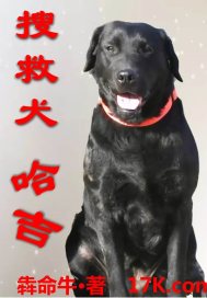 搜救犬哈吉