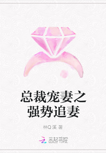 总裁宠妻之强势追妻