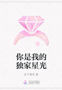 你是我的独家星光