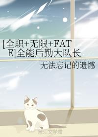 [全职+无限+FATE]全能后勤大队长