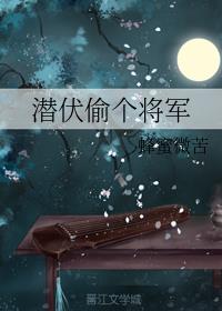 潜伏偷个将军