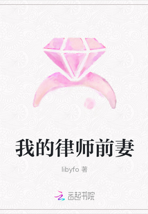 我的律师前妻