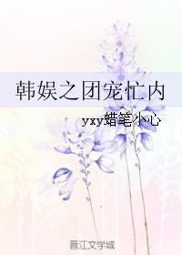 韩娱之团宠忙内