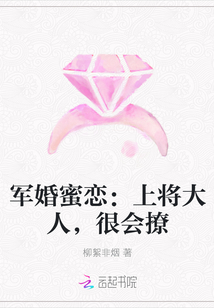 军婚蜜恋：上将大人，很会撩