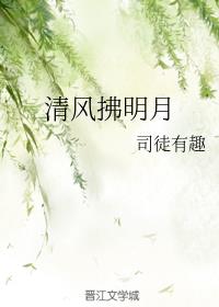 清风拂明月